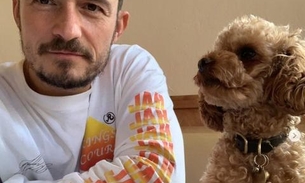 Cachorrinho desaparecido de Orlando Bloom é encontrado morto