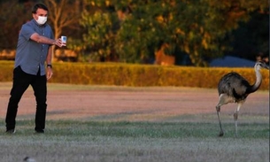 Hidroxicloroquina não tem eficácia contra Covid-19, diz maior estudo brasileiro sobre a droga