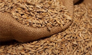 Cervejaria artesanal sofre processo de interdição pela Visa Manaus