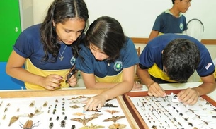 Mapas temáticos revelam dados e informações sobre Amazonas