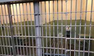 Presos recebem visitas virtuais durante pandemia do coronavírus