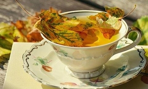 Compostos presentes em chás amenizam os sintomas de gripes e resfriados