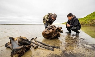 Esqueleto de mamute de até 10 mil anos é encontrado na Rússia