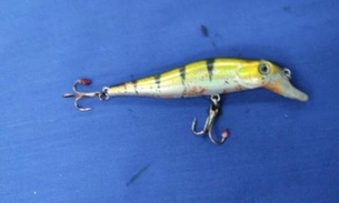 Criança tem olhos atingidos por anzol em balneário do Amazonas