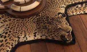 Tapetes de onça e cobras são encontrados em apartamento de luxo durante operação da PF 