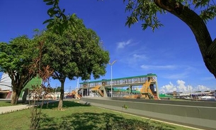 Serviço de paisagismo inicia pelas principais avenidas de Manaus