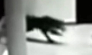 Cidade entra em pânico após fera devorar animais de rua