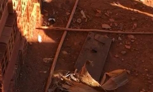 Pedaço de madeira usado para torturar menino Danilo é encontrado em obra de igreja