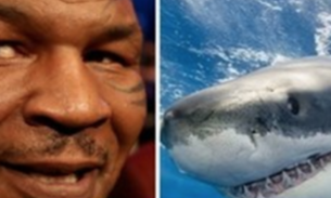 Mike Tyson choca seguidores ao imobilizar tubarão com as próprias mãos; assista