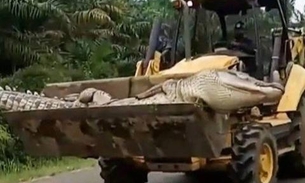 Crocodilo de meia tonelada é morto após aterrorizar vilarejos por 50 anos