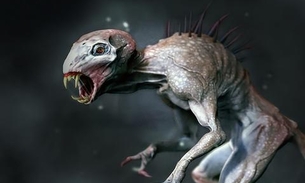 Netflix vai produzir filme sobre a lenda do Chupa-Cabra