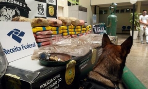 Polícia apreende 62 kg de drogas em bimotor no aeroclube de Manaus 