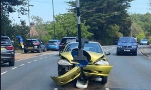 Homem bate carro ao tentar se livrar de aranha