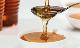 Consumo de mel cresceu no Amazonas durante pandemia; Entenda