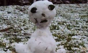 Bonecos de neve bizarros no sul do Brasil viram meme