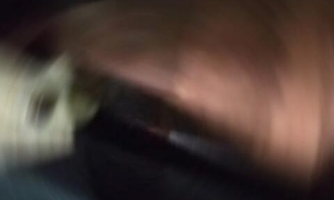 Bicho inusitado faz mulher quase se jogar de carro em movimento em Manaus