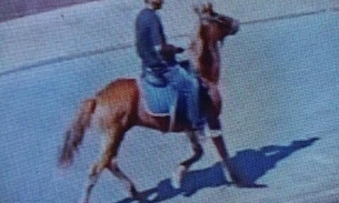 Homem mete fuga a cavalo após roubar em padaria
