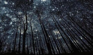 ET’s no Cinema: Ciência nas telonas e da nossa vida real é tema de palestra