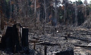 MPF cobra ações do Incra para reduzir desmatamento na Amazônia