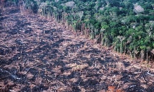   Desflorestamento na Amazônia pode aumentar temperatura mundial em quase 5ºC