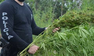 Apreensão recorde de drogas é feita pela SSP-AM em 2015