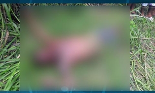 Desfigurado, corpo de homem é achado em matagal no Colônia Antônio Aleixo