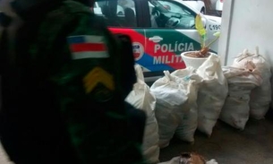 360 kg de pescado ilegal e quelônio são apreendidos na Panair