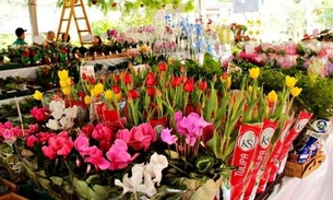 Festival das Flores de Holambra chega a Manaus