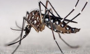 Prefeitura e Forças Armadas se unem em megaoperação de guerra contra o Aedes