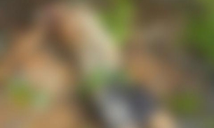 Em decomposição, corpo de adolescente é encontrado com tapurus no AM