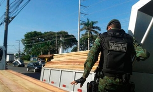 Caçamba com 7 m³ de madeira ilegal é apreendida na Torquato Tapajós