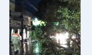 Ventos chegam a 70 km/h durante chuva em Manaus