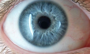 Companhia realiza com sucesso primeiro implante de retina artificial