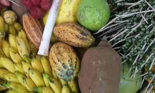 Acontece nesta terça fórum que debate matriz econômica do Amazonas