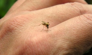 Indústria do Amazonas inicia campanha contra o Aedes Aegypti