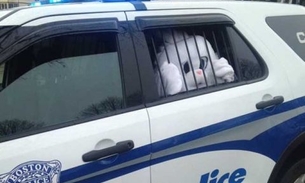 Coelhinho da Páscoa choca o mundo ao ser preso 