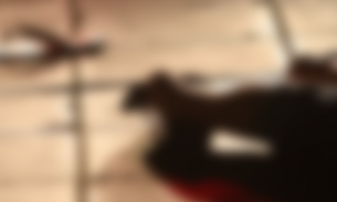 Duas adolescentes são condenadas a prisão perpétua por crime bárbaro