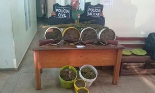 Coroa é preso com 50 kg de maconha em baldes de 20 litros