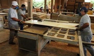 Setor madeireiro do polo de Manaus amplia faturamento e mantém empregos