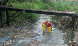 Bombeiros continuam as buscas por menino desaparecido que caiu em bueiro
