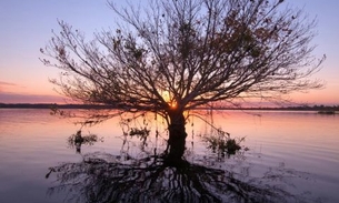 Livraria Saraiva recebe a exposição “Rios da Minha Aldeia”