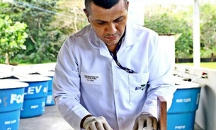 Embrapa oferece bolsas de iniciação cientifica para o Amazonas 