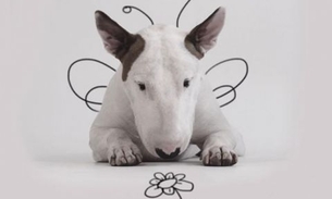 Marido tem ideia genial após ter sido deixado sem nada em casa pela ex-mulher 