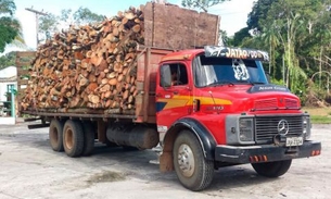 25 m³ de lenha ilegal são apreendidos na rodovia AM-070