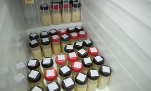   Susam vai ampliar o número de postos de coleta de leite humano