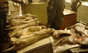 Carne de caça era vendido ilegalmente em feira de Manaus