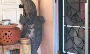 Lagarto gigante tenta invadir residência e deixa moradores em pânico