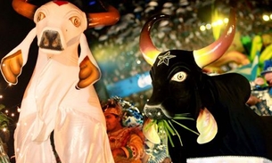  Os cuidados com a saúde para aproveitar bem o festival de Parintins