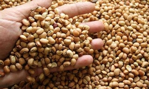 Grupo armado rouba mil sacas de feijão de fazenda e deixa funcionários rendidos 