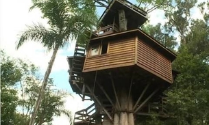 Galvão Bueno mostra casa na árvore luxuosa que tem em fazenda